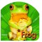 Board Book: Frog