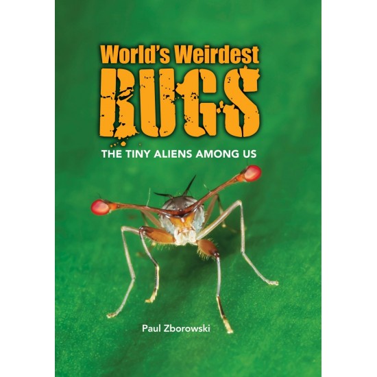 World's Weirdest Bugs 