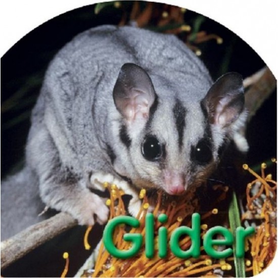 Board Book: Glider