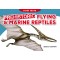 First Facts Dinosaurs: Prehistoric Flying & Marine Reptiles