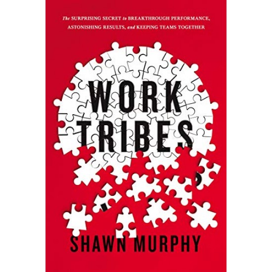 Work Tribes: The Surprising Secret to Breakthrough Performance, Astonishing Results, and Keeping Teams Together