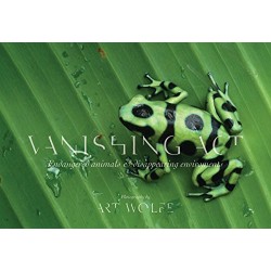 Vanishing Act: The Artistry of Animal Camouflage