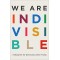 We Are Indivisible: A Blueprint for Democracy After Trump