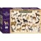 Vintage 1000Pce: Dog Breeds